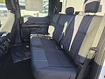 New 2026 Ford F-150 STX SuperCrew Cab for sale #1990168 - photo 14