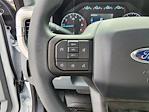 2024 Ford F-250 Crew Cab RWD Pickup for sale #C03871 - photo 14