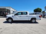 2024 Ford F-150 SuperCrew Cab 4WD Pickup for sale #D11962 - photo 8
