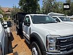 2024 Ford F-450 Regular Cab DRW 4x2 Cab Chassis for sale #MR241670 - photo 12