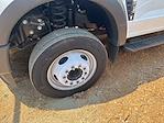 2024 Ford F-450 Regular Cab DRW 4x2 Cab Chassis for sale #MR241670 - photo 15