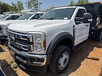 2024 Ford F-450 Regular Cab DRW 4x2 Cab Chassis for sale #MR241670 - photo 18
