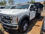 2024 Ford F-450 Regular Cab DRW 4x2 Cab Chassis for sale #MR241670 - photo 19