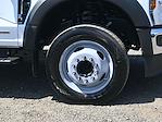 New 2024 Ford F-550 Regular Cab 12' Scelzi Contractor Truck for sale #MR241963 - photo 3