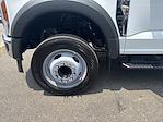 2025 Ford F-550 Regular Cab DRW 4x2 Landscape Dump for sale #MR251282 - photo 4