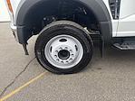 New 2025 Ford F-550 Regular Cab 14' Harbor Stake Bed for sale #MR252157 - photo 3