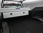 2025 Ford F-250 Regular Cab RWD Pickup for sale #MR252375 - photo 17