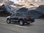 2025 Ford F-150 Regular Cab 4WD Pickup for sale #MR252773 - photo 5
