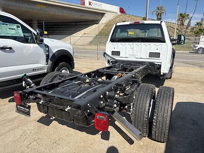 2025 Ford F-550 Regular Cab DRW 4x2 Cab Chassis for sale #R250250 - photo 2