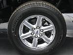 2025 Ford F-150 SuperCrew Cab 4x4 Pickup for sale #R250617 - photo 24
