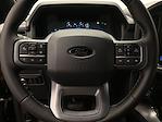 2025 Ford F-150 SuperCrew Cab 4WD Pickup for sale #MR251076 - photo 13