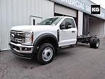 2025 Ford F-550 Regular Cab DRW RWD Cab Chassis for sale #R251453 - photo 1