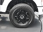 New 2026 Ford F-250 XL Crew Cab for sale #R260081 - photo 20