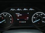 2026 Ford F-250 Regular Cab RWD Pickup for sale #R260142 - photo 13
