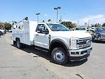 New 2024 Ford F-550 Regular Cab 4x4 Scelzi SBD-132-94-49-38-V 11' Service Truck EHCPRX-1221-302 for sale #MC242941 - photo 4