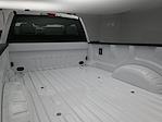 2024 Ford F-250 Regular Cab 4x2 Pickup for sale #CC243428 - photo 19