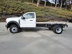 2024 Ford F-450 Regular Cab DRW 4x2 Cab Chassis for sale #CC243630 - photo 19