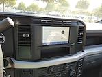 New 2024 Ford F-600 Regular Cab Cab Chassis for sale #MC243805 - photo 13