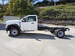 2024 Ford F-450 Regular Cab DRW 4x2 Cab Chassis for sale #C244151 - photo 19