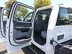 2024 Ford F-550 Crew Cab DRW 4x2 Cab Chassis for sale #C244176 - photo 16