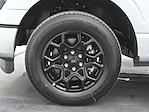2025 Ford F-150 SuperCrew Cab 4x2 Pickup for sale #C250762 - photo 24