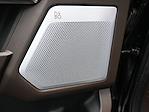 2025 Ford F-150 SuperCrew Cab 4x4 Pickup for sale #C251120 - photo 14