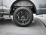 2025 Ford F-150 SuperCrew Cab 4x4 Pickup for sale #C251132 - photo 22