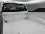2025 Ford F-150 SuperCrew Cab 4x4 Pickup for sale #C251296 - photo 18