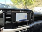 2025 Ford F-450 Regular Cab DRW RWD Cab Chassis for sale #C252209 - photo 13