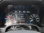 2019 Ford F-150 Regular Cab RWD Pickup for sale #C252339A - photo 3