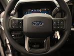 2025 Ford F-150 Regular Cab RWD Pickup for sale #C252624 - photo 12