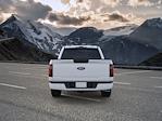 2025 Ford F-150 SuperCrew Cab 4WD Pickup for sale #C252806 - photo 7