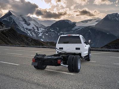2025 Ford F-450 Regular Cab DRW RWD Cab Chassis for sale #C252816 - photo 2