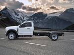 2025 Ford F-450 Regular Cab DRW RWD Cab Chassis for sale #C252816 - photo 5