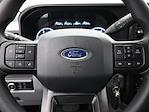 2026 Ford F-250 Crew Cab 4WD Pickup for sale #C260309 - photo 11