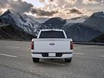 2026 Ford F-150 SuperCrew Cab RWD Pickup for sale #C260504 - photo 6