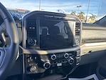 2024 Ford F-150 SuperCrew Cab 4WD Pickup for sale #CP02945 - photo 12