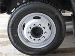 New 2024 Ford F-550 Regular Cab Cab Chassis for sale #MC244305 - photo 20