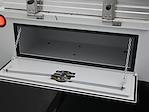 New 2025 Ford F-450 Regular Cab Cab Chassis for sale #MC253089 - photo 25