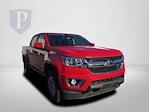 2019 Chevrolet Colorado Crew Cab 4WD Pickup for sale #114505A - photo 3