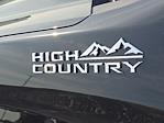 2025 Chevrolet Silverado 1500 Crew Cab 4x4 Pickup for sale #297027 - photo 30