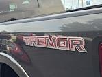 2020 Ford F-250 Crew Cab 4x4 Pickup for sale #2S2404 - photo 17