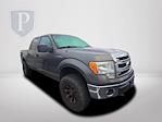 2014 Ford F-150 SuperCrew Cab 4WD Pickup for sale #2S2529A - photo 3