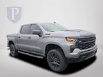 2025 Chevrolet Silverado 1500 Crew Cab 4x4 Pickup for sale #329293 - photo 4
