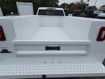 2025 Chevrolet Silverado 3500 Crew Cab DRW 4WD Cab Chassis for sale #FS1529X - photo 20