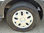 2023 Ford Transit 250 Low Roof RWD Empty Cargo Van for sale #28905 - photo 8