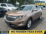 2019 Chevrolet Equinox FWD SUV for sale #28953 - photo 1