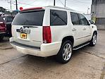2011 Cadillac Escalade AWD SUV for sale #29138 - photo 5