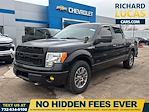 2014 Ford F-150 SuperCrew Cab 4WD Pickup for sale #29302 - photo 1