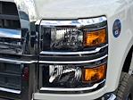 2023 Chevrolet Silverado 5500 Regular Cab DRW 4WD, Cab Chassis for sale #PH750903 - photo 3